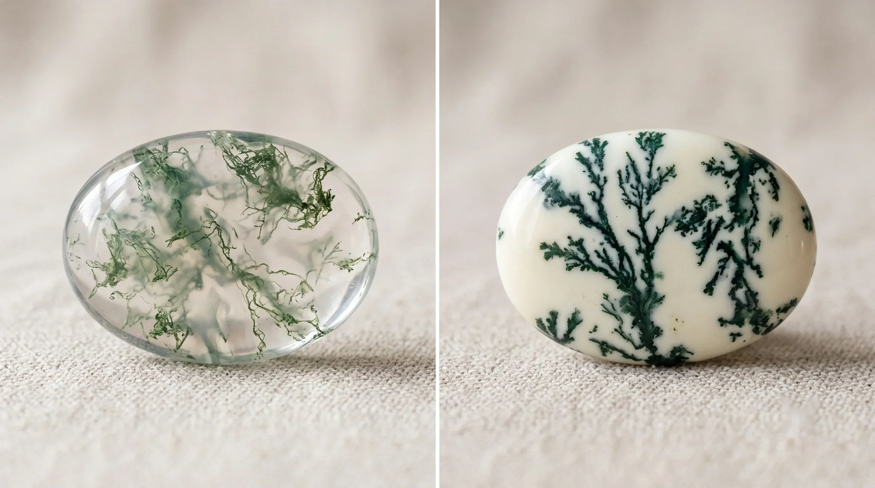 Tree Agate vs. Moss Agate: How to Tell Them Apart and Choose the Right Stone